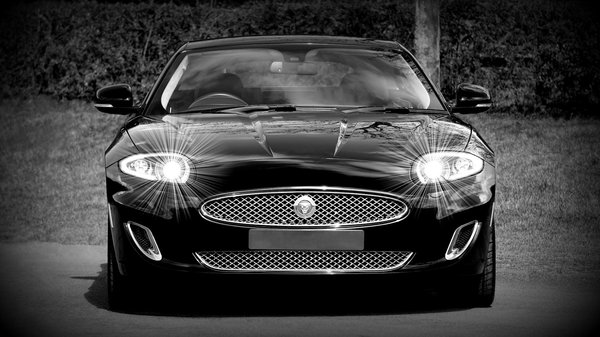 Dernières tendances du marché automobile